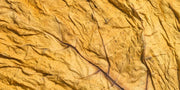 feuilles de tabac blond