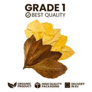 Mélange feuilles de tabac Kentucky Brun/Virginie Blond