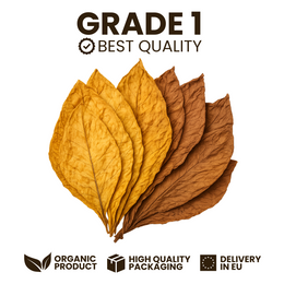 Mélange feuilles de tabac Burley/Virginie Blond