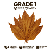 Feuilles de Tabac Burley Brun