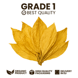 Feuilles de tabac Virginie Blond