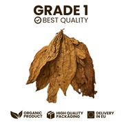 Feuilles de Tabac Oriental