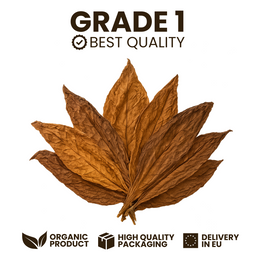 Feuilles de tabac Kentucky Brun