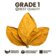 Feuilles de Tabac Virginie Orange Italia