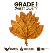 Feuilles de Tabac Virginie Orange